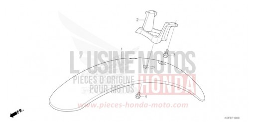 KOTFLUEGEL, VORNE Z125MAN de 2022